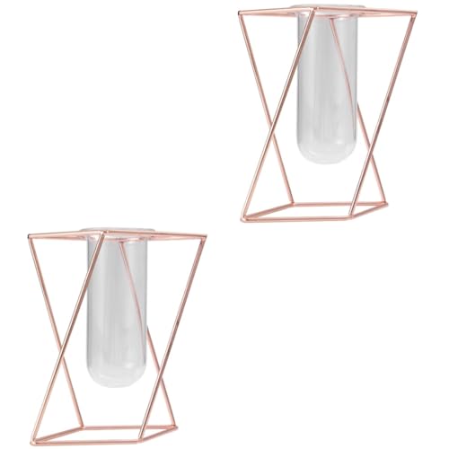 Toddmomy Terrarien 2 STK Klarer Blumentopf ationen Klare Vase Dekoration Klarer Behälter Pflanzenvase Glasbehälter Glasvase Nordisches Dekor Einmachgläser Blumenrohr Haushalt von Toddmomy