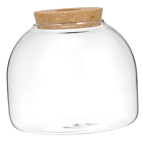 Toddmomy Terrarium Mit Holzstopfen Kleines Ökosystem Für Moos Und Hydroponikpflanzen Dekoratives Glasgefäß Für Den Innenbereich Perfekt Für Landschaften Und Toddmomy Terrarium Mit Holzstopfen Kleines Ökosystem Für Moos Und Hydroponikpflanzen Dekoratives Glasgefäß Für Den Innenbereich Perfekt Für Landschaften Und von Toddmomy