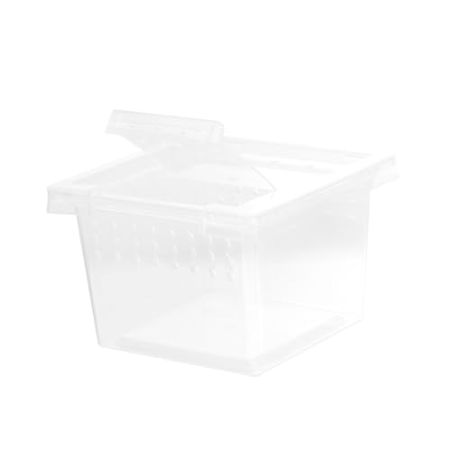 Toddmomy Transparentes Insektenzucht und Fütterungsboxset für Reptilien Lizard Spinnen und Praktische Zuchtbox aus Langlebigem Kunststoff für Außenanwendungen und Einfache Toddmomy Transparentes Insektenzucht und Fütterungsboxset für Reptilien Lizard Spinnen und Praktische Zuchtbox aus Langlebigem Kunststoff für Außenanwendungen und Einfache von Toddmomy