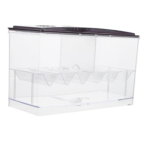 Toddmomy Zuchtbox Aquariumbreeding Box mit Abnehmbarer Trennwand Transparent Mehrfach Nutzbar mit Ablauföffnung als Fischisolator und Brutkasten für Aquarien Zubehör Toddmomy Zuchtbox Aquariumbreeding Box mit Abnehmbarer Trennwand Transparent Mehrfach Nutzbar mit Ablauföffnung als Fischisolator und Brutkasten für Aquarien Zubehör von Toddmomy