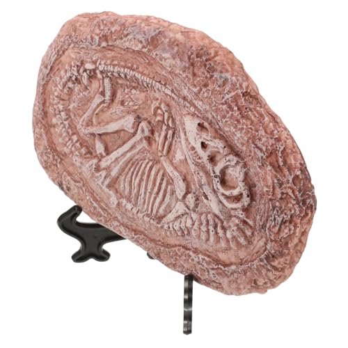 Toddmomy paläontologischer Trilobit Reptilienthermostat Wärmebirne für Reptilien Torfmoos fossilien Reptilien Dinosaurier-Fossil-Imitat Dinosaurier-Exemplar zur Sammlung Harz von Toddmomy