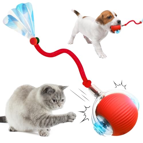 Interaktives Katzenspielzeug,Katzenspielzeug Selbstbeschäftigung,Chewie Rolling Ball für Katzen Hunde,Interactive Cat Toys Rolling Ball,Katzenspielzeug Elektrisch mit Libellenschwanz (Rot 1 Pcs) von Toerjii