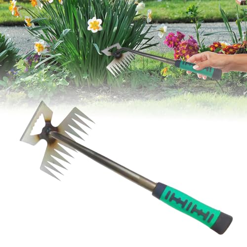 Toerjii Gartenarbeit Hand Unkrautstecher, Unkrautstecher, Unkraut Jäten Gartengeräte Entwurzelung Jäten Werkzeug, Outdoor-Garten-Reinigungsschaufel, Gartengeräte, Profi Trimmer Unkraut (11 Zähne) von Toerjii