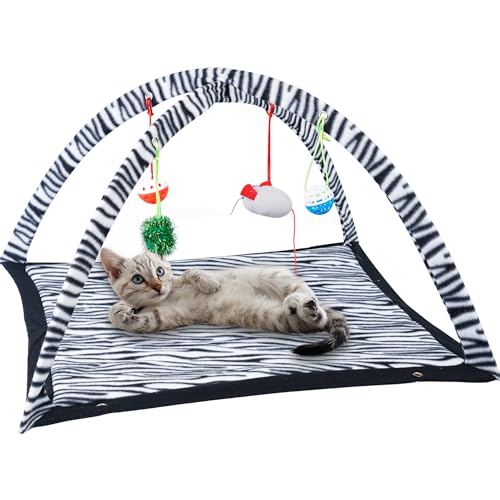 Tofern Katzenspielmatte mit Katzenspielzeug Katzen Spielmatte Interaktives Spielzeug für Katzen Faltbar Katzen Hängematte Katzenbett Waschbar Bett Sofa für Kleine Tiere, Punkt(61x61x34cm) von Tofern