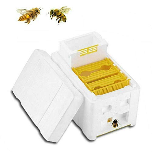 Tokenhigh Bienenstock-Kasten,Ernte Bienenstock Bestäubung Imkerei König Box für die Königinnenzucht Werkzeug Imkerei Ausrüstung von Tokenhigh