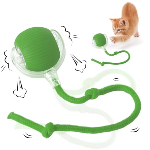 Tomedeks Katzenball elektrisch, Powe rball Katze, Crazy Ball, Katzenspielzeug Ball elektrisch, Katzenspielzeug elektrisch (Verde) von Tomedeks