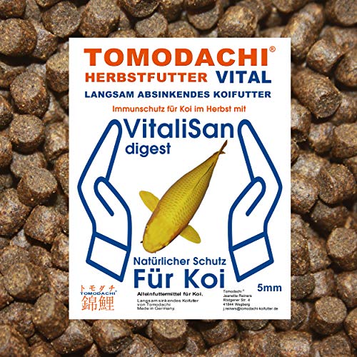 Tomodachi Koifutter Herbstfutter Sinkfutter Koi Gesundheitsfutter Monoglyceride antibakteriell Futterverwertung Verdauung Immunsystem hochverdaulich 5mm 5kg von Tomodachi