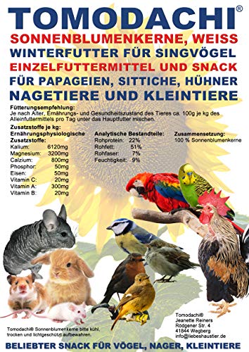 Tomodachi Vogelfutter Sonnenblumenkerne, Vogelsnack, Winterfutter Wildvögel, Kraftfutter, Energiefutter für Singvögel, Vogeldelikatesse, Wildvogelsnack, weiße Sonnenblumenkerne, 5kg Sack. von Tomodachi