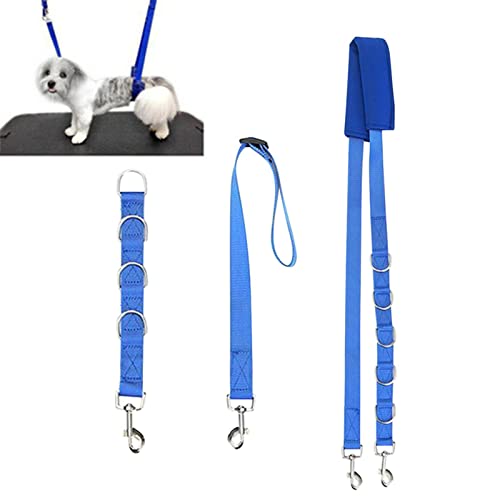 Tongdejing Bauchgurt für Hunde, 3 Stück/Set, Nylon, verstellbare Traktionsleine mit D-Ringen, für kleine, mittelgroße Hunde, Katzen, Welpen, Kätzchen, Haarschneide, Waschtraining (blau) von Tongdejing