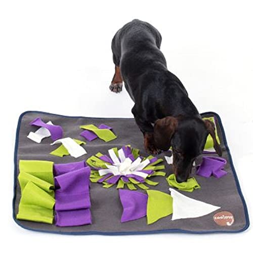 Tooludic The Sniffing Mat is a Great Interactive Toy for Dogs von Tooludic