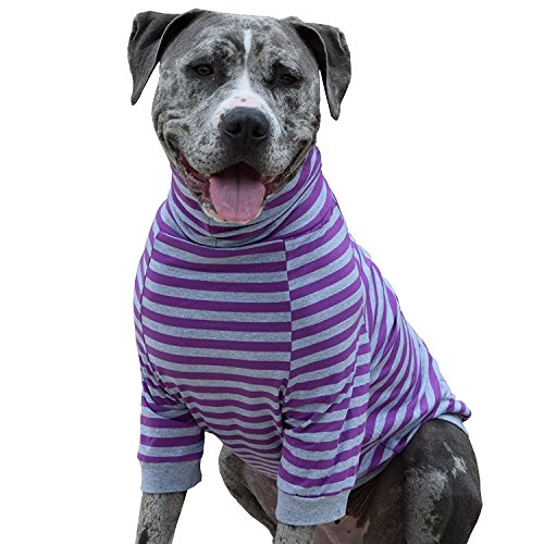 Tooth & Honey Hundepullover für große Hunde, Streifenmuster, volle Bauchbedeckung, für große Hunde, Pitbull-Shirt, Violett und Grau (Größe XL) von Tooth & Honey