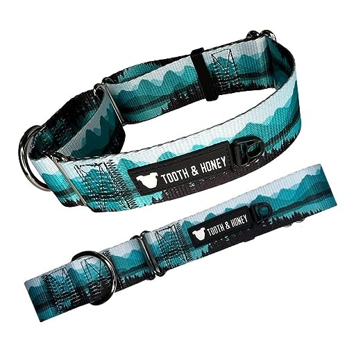 Zahn- und Honighalsband Pitbull 1,5 Glacier Lake Martingale (Blue Mountain Print) von Tooth & Honey