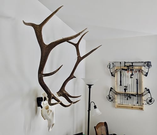 Top Rack Elk Mount European Skull Hanger (Raging Bull) von Top Rack