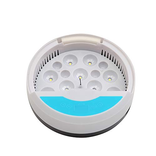 TopHomer Eierbrutmaschine Automatisch Digital 9 Eier Mini Home Brutgeräte mit LED-Licht und Temperaturregelung für Geflügel oder Haushaltsgeschenk Kinder von TopHomer