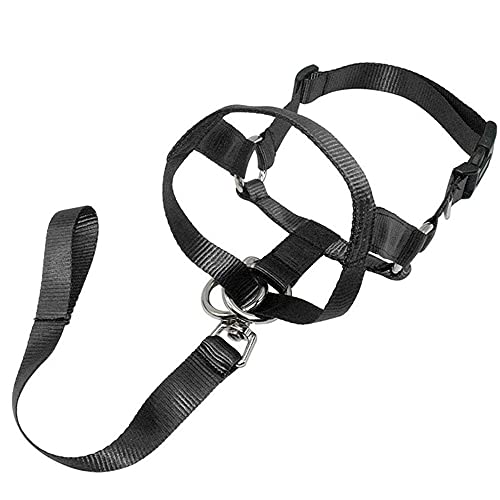 TopHomer Hundehalsband, Kopfhalsband für Hunde, Gepolstertes Halfter zum Stoppen des Ziehens für Kleine Mittelgroße Hunde - XL von TopHomer