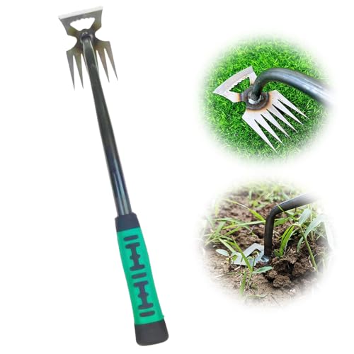 Topbashgo Gartenarbeit Hand Unkrautstecher, Fugenkratzer Unkraut, Unkrautstecher, Outdoor-Garten-Reinigungsschaufel, Gartengeräte, Profi Trimmer Unkraut Geeignet zum Jäten (6 Zähne) von Topbashgo