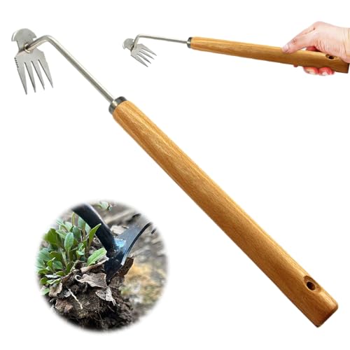 Topbashgo Gartenarbeit Hand Unkrautstecher, Unkraut Entferner Gerät, Fugenreiniger Unkraut, Gartenwerkzeug, Unkraut Entferner Gerät, Fugenkratzer Mit Stiel (Langer Holzgriff) von Topbashgo