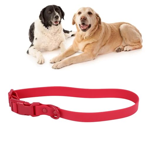 Haustierhalsband, Wasserdichtes, Rostfreies, Verstellbares Hundehalsband, PVC Halsband mit Weichem und Flexiblem Design für Bequemes Tragen, für (31–50 cm/12,2–19,7 Zoll von Topiky