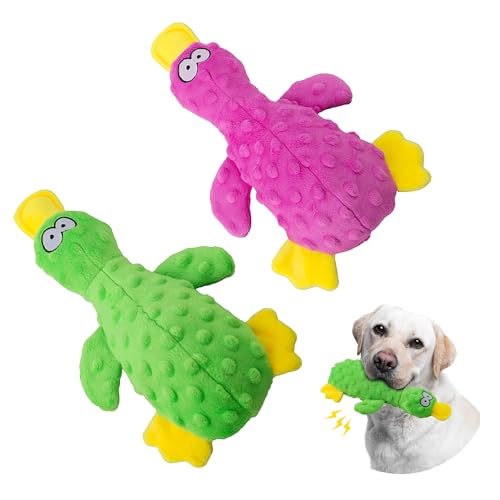 Topnique Quietschspielzeug Ente für Hunde, 2 Packungen, langlebiges Plüschspielzeug für große Hunde, interaktives Spielen, robust, weich und knisternd, ideal für kleine bis große Hunde (lila & grün) von Topnique