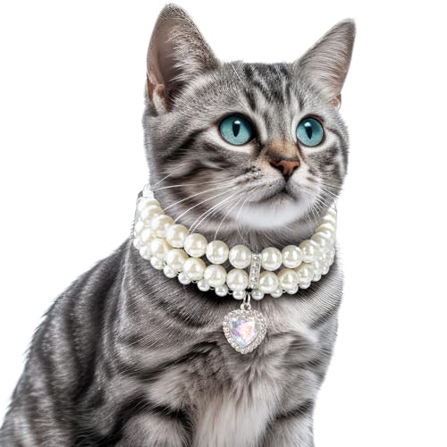 Halsbänder für Kleine Hunde & Katzen,Verstellbar Hunde Halsband mit Perle, Breite Halsbänder mit Strass für Kleine Hunde Kitten für Katze Welpe Kleid Dekoration (Classic Pearl Pet Collar, L) von Topoloar