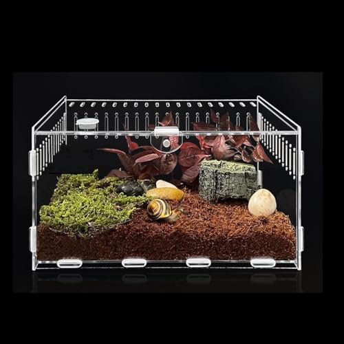 Topspitgo Schnecken Terrarium Acryl Transparente Transport Box Terrarium GlasFür Schnecken Spinnen Gecko Hamster Schlangen Schildkröten Terrarium Tragbarer Reptilien Insect Feeding(30 x 20 x 15cm) von Topspitgo