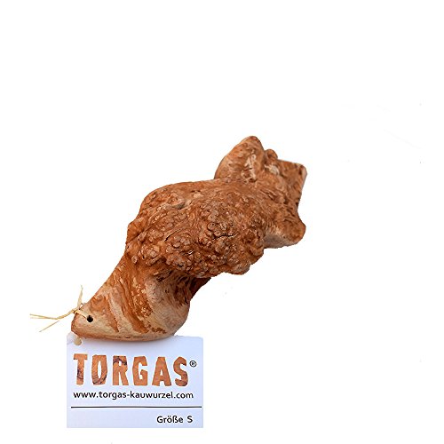 TORGAS® Kauwurzel -Das Original aus Portugal- Größe S von Torgas