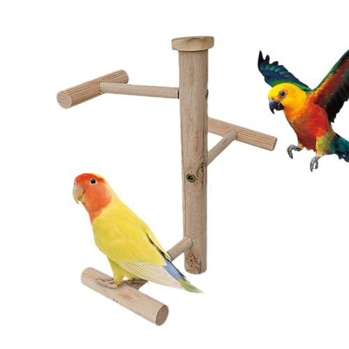 Natürlicher Papageien-Sitzstangen-Vogelständer, Vogeltrainings-Sitzstangenständer | Vogelsitzstangen, robust und gesund, natürlich,Multifunktionaler Papageien-Spielständer, Vogelständerstange für Papa von Toseky