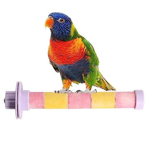 Vogelständer-Spielzeug | Frosted Parrot Standing Pole | Übungsspielzeug mit integriertem Metallkern für Sittiche, Wellensittiche, Turteltauben, mittelgroße Papageien und Nymphensittiche von Toseky