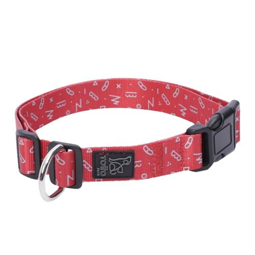 TOTTO - Halsband für große Hunde, Modell Mylu, Größe L, verstellbares Hundehalsband, robuste Beschläge, Sicherheitsblech, D-Ring für Leine, roter Kamm von Totto