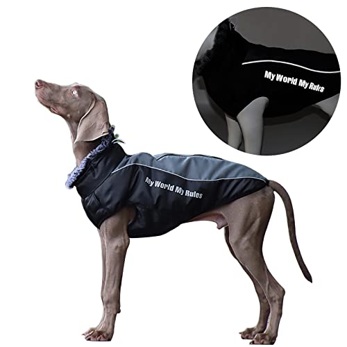 Futternapf Katze,Wintermantel Hund,Hundejacke Wasserdicht,Hundemantel,Hundekleidung Kleine Hunde,Dog Jacket,Dog Coat,Dog Vest,Warme und Windabweisender Reflektierende Hundejacke (Schwarz, 2XL) von Toulifly