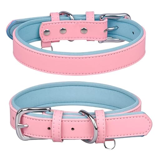 Katzen-Halsband Welpen-Halsband Hundehalsband Edelstahl Hundeanhänger Haustierhalsband Ultra Faser PU kleine und mittlere Hundehalshalsband verstellbares für kleine Katzen und Hunde (Blue+pink) von Toyhood