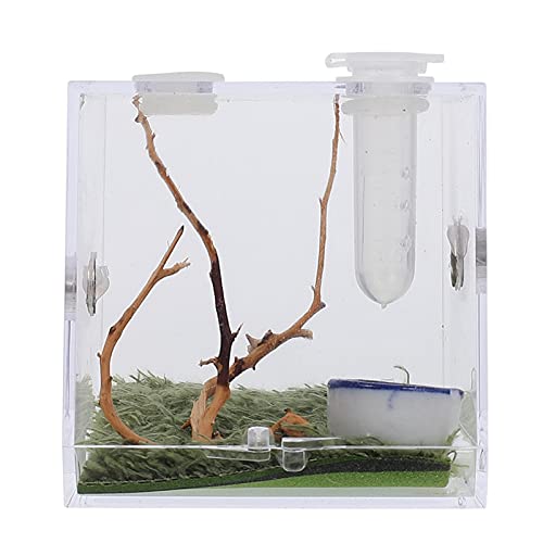 1 Set Springspinnengehege Acryl Critter Keeper Spinnen Zuchtkäfig Mini Carrier Micro Habitat Terrarien Schneckenbehälter Haus L von Toyvian