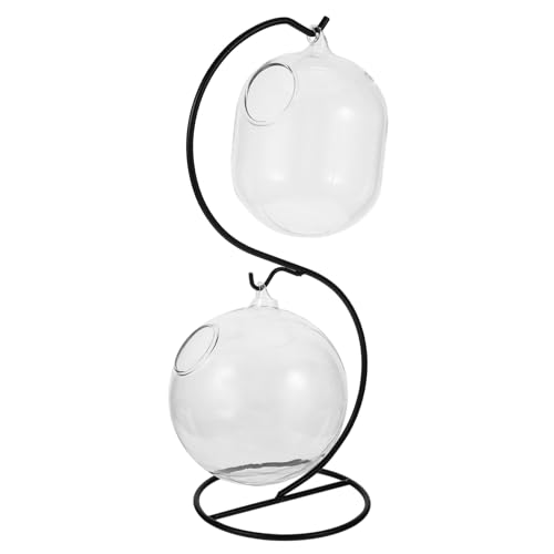 Toyvian Hängende Glasvase für Sukkulenten und Fische Multifunktionales Terrarium mit Eisenständer Transparentes Aquarium für Dekoration für Tisch und Zuhause Toyvian Hängende Glasvase für Sukkulenten und Fische Multifunktionales Terrarium mit Eisenständer Transparentes Aquarium für Dekoration für Tisch und Zuhause von Toyvian