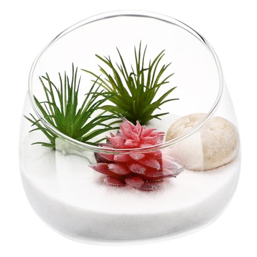Toyvian 1 Stück Moos Micro Landscape Flasche klein Mini saftiges Klares Pflanzenterrarium drinnen Desktop -Terrarium Terrariumvase Mikro-Landschafts-Öko-Flasche Glastank Transparent Toyvian 1 Stück Moos Micro Landscape Flasche klein Mini saftiges Klares Pflanzenterrarium drinnen Desktop -Terrarium Terrariumvase Mikro-Landschafts-Öko-Flasche Glastank Transparent von Toyvian