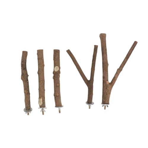 Toyvian 5sätze Holz Vogel Stehstange Vogelkäfig Zubehör Vogelstange Für Käfig Vogelstehstab Heimtierbedarf Naturholz Vogel Utensil Vogelkäfig Spielzeug Balancierstange Vogelstange Toyvian 5sätze Holz Vogel Stehstange Vogelkäfig Zubehör Vogelstange Für Käfig Vogelstehstab Heimtierbedarf Naturholz Vogel Utensil Vogelkäfig Spielzeug Balancierstange Vogelstange von Toyvian