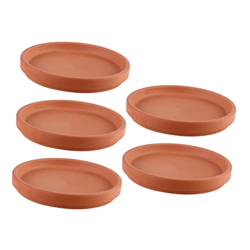 Toyvian 5Stücke Terracotta Blumenpot Untersetzer für Pflanzentöpfe zum Ihrer Oberflächen Wasser Reinigen Toyvian 5Stücke Terracotta Blumenpot Untersetzer für Pflanzentöpfe zum Ihrer Oberflächen Wasser Reinigen von Toyvian