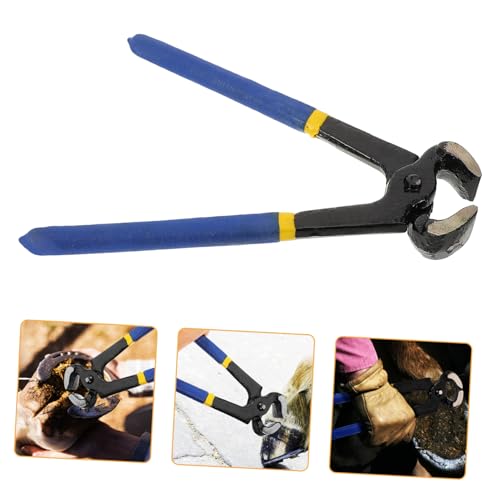 Toyvian Hufzangen Für Pferd Und Rinder Fuß Schere Trimmer Werkzeug Grate Metall Reparatur Schere Für Schafe Und Ziegen Toyvian Hufzangen Für Pferd Und Rinder Fuß Schere Trimmer Werkzeug Grate Metall Reparatur Schere Für Schafe Und Ziegen von Toyvian