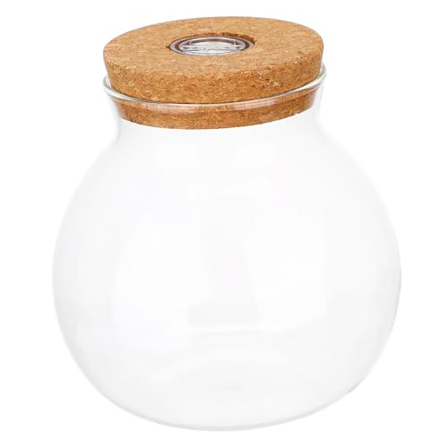 Toyvian LED Glasflasche mit Dekorativem Licht Borosilikat für Micro Landschaften DIY Terrarium mit LED Beleuchtung und Korkdeckel Kreatives Ökosystem für Pflanzen Toyvian LED Glasflasche mit Dekorativem Licht Borosilikat für Micro Landschaften DIY Terrarium mit LED Beleuchtung und Korkdeckel Kreatives Ökosystem für Pflanzen von Toyvian