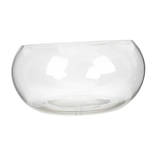 Toyvian Runder Glasfischbehälter Transparentes Aquarium für Hydroponische Pflanzen Fische Dekorative Tischvase für Büro Zuhause Durchmesser für Aquarienliebhaber Toyvian Runder Glasfischbehälter Transparentes Aquarium für Hydroponische Pflanzen Fische Dekorative Tischvase für Büro Zuhause Durchmesser für Aquarienliebhaber von Toyvian