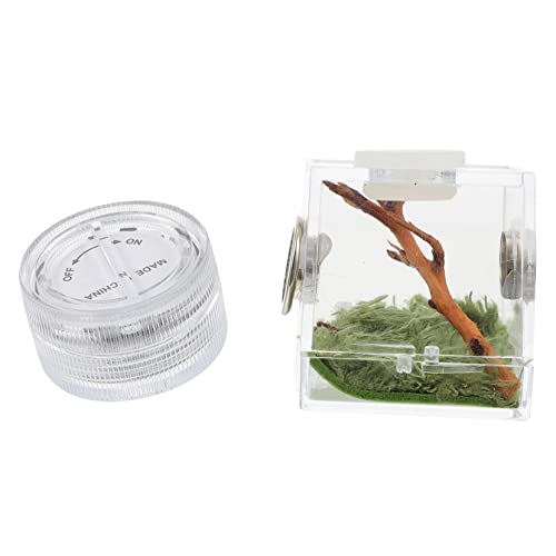 Toyvian Spinnen Lebensraum Kasten mit Licht Kleiner Springspinnen Zuchtträger Atmungsaktive Terrarium Kasten für Springspinnen 2 Stück für Fütterung und Transport Luftbefeuchter Toyvian Spinnen Lebensraum Kasten mit Licht Kleiner Springspinnen Zuchtträger Atmungsaktive Terrarium Kasten für Springspinnen 2 Stück für Fütterung und Transport Luftbefeuchter von Toyvian