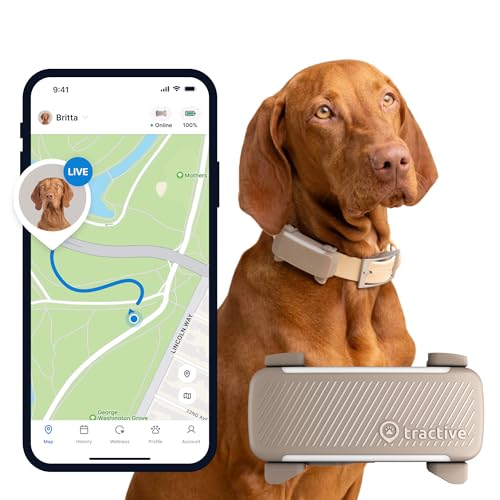 Tractive GPS Tracker Hund | Empfohlen von Martin Rütter | Live-Ortung | Weglaufalarm | Aktivitätstracking | Gesundheitswarnungen | 2024 Edition | Bellverhalten (Braun) von Tractive