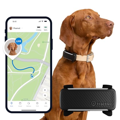 Tractive GPS Tracker Hund | Empfohlen von Martin Rütter | Live-Ortung | Weglaufalarm | Aktivitätstracking | Gesundheitswarnungen | Bellverhalten | Abo Erforderlich (Schwarz) von Tractive