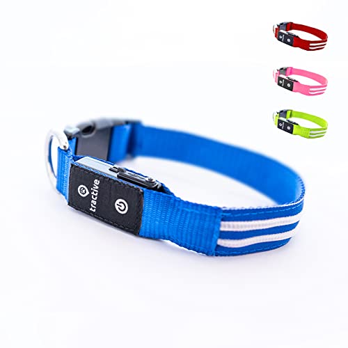 Tractive LED-Leuchthalsband für Hunde. Per USB aufladbar. Wasserdicht (Blau, L) von Tractive