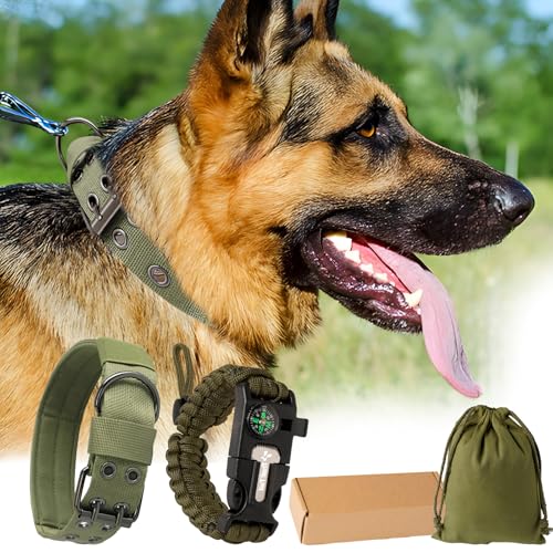 Trail Tail Strapazierfähiges Hundehalsband, taktisches Hundehalsband für große Hunde, dickes Pitbull-Halsband, M-L-XL breit, Metallschnalle, geeignet für Deutscher Schäferhund, Pitbull, Rottweiler, von Trail Tail