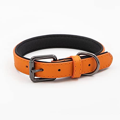 TrainPro Hundehalsband aus echtem Leder mit weicher, wasserdichter Stoffpolsterung für kleine, mittelgroße und große Hunde und Haustiere. von TrainPro