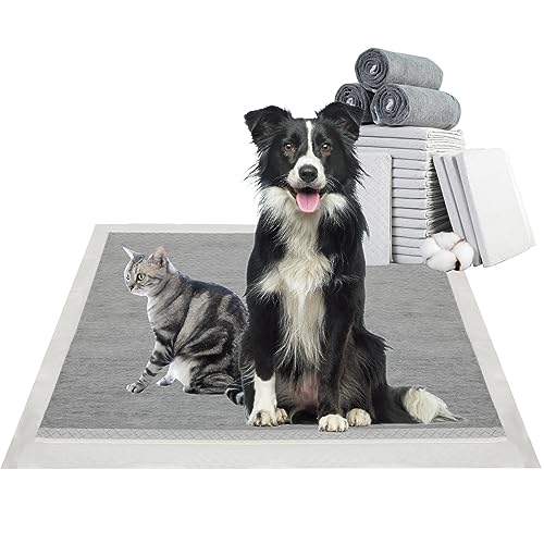 Trainingsmatten für Hunde, 71,1 x 86,4 cm, 40 Stück von TrainPro