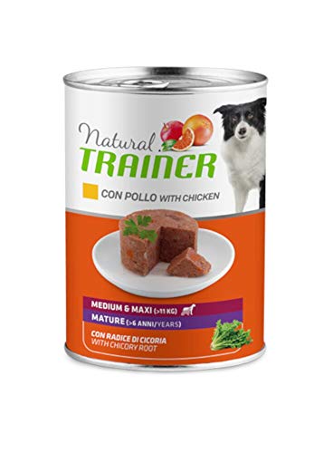 TR. Natural Adult Med./Maxi Huhn/Chicorée 400 g von Trainer Natural