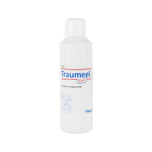 Traumeel Gel - 250 g von TraumeelHeel