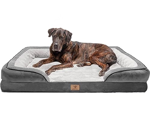 Traumreiter orthopädisches Hundebett für mittelgroße Hunde L Grau I Hundekörbchen Hundekorb Hundekissen Hundehöhle Hundesofa Hunde Bettchen Hundebetten für mittlere Hunde 90x60 cm von Traumreiter