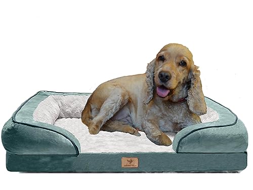 Traumreiter orthopädisches Hundebett für mittelgroße Hunde L Grün I Hundekörbchen Hundekorb Hundekissen Hundehöhle Hundesofa Hunde Bettchen Hundebetten für mittlere Hunde 90x60 cm von Traumreiter